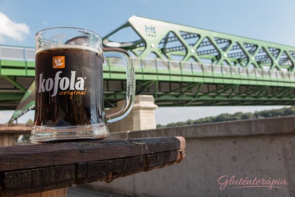 Kővári Elvira, Gluténterápia, Szlovákia